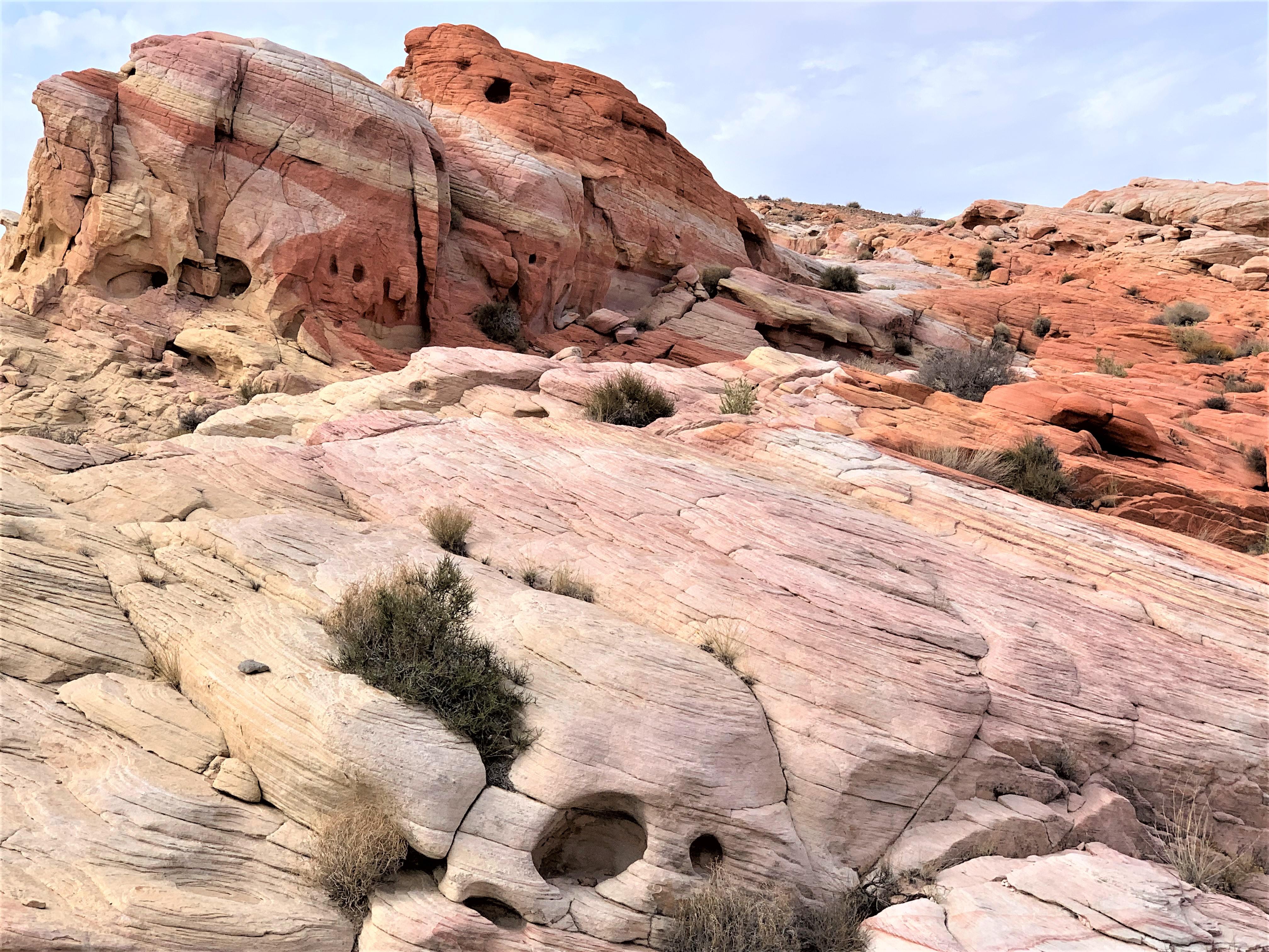 Nevada